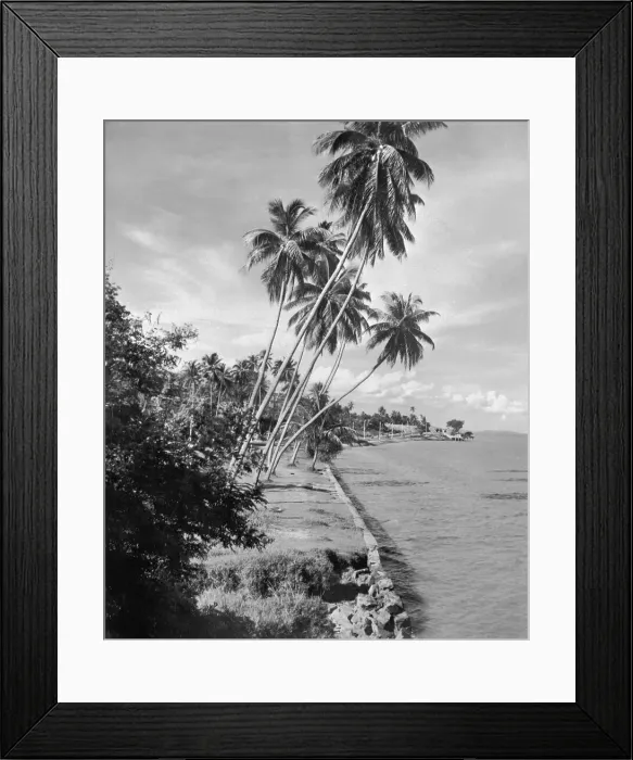 Framed Print : Singapore Waterfront Framed Print : Singapore Waterfront