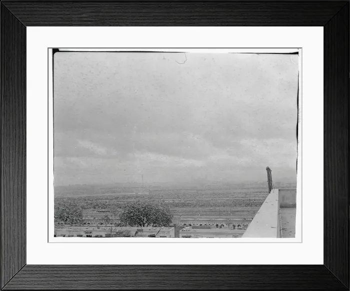 Framed Print : Yellow Grasshoppers in Flight Framed Print : Yellow Grasshoppers in Flight