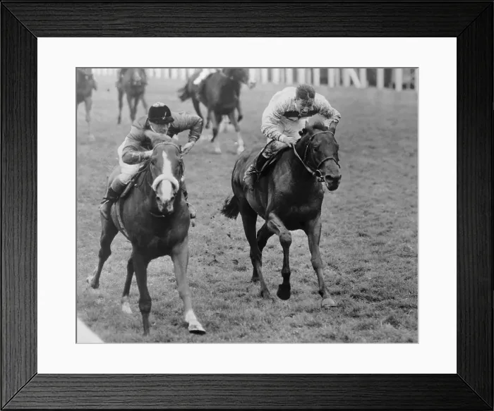 Framed Print : Queen Elizabeth II's Horse Winning Race Framed Print : Queen Elizabeth II's Horse Winning Race