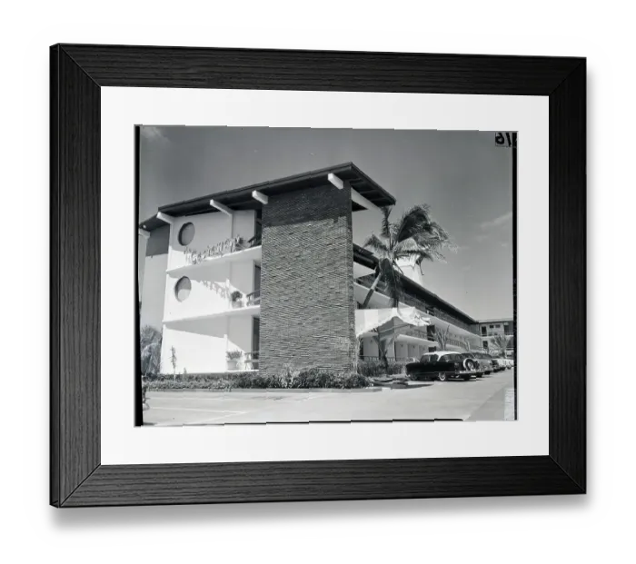 Framed Print : Palm Tree Blows in the Wind at Motel Framed Print : Palm Tree Blows in the Wind at Motel