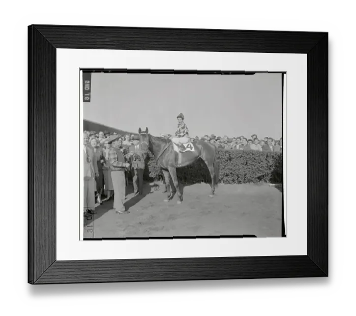 Framed Print : Willie Shoemaker on Correlation in Winner's Circle