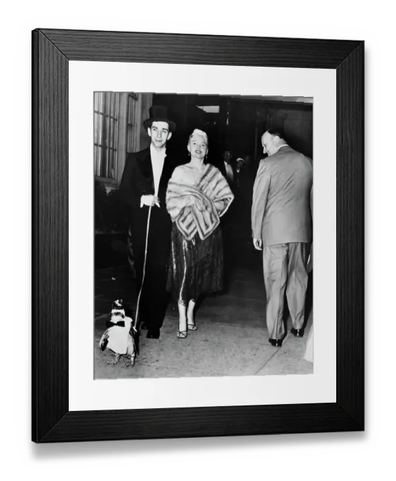 Framed Print : Couple With Pet Penguin