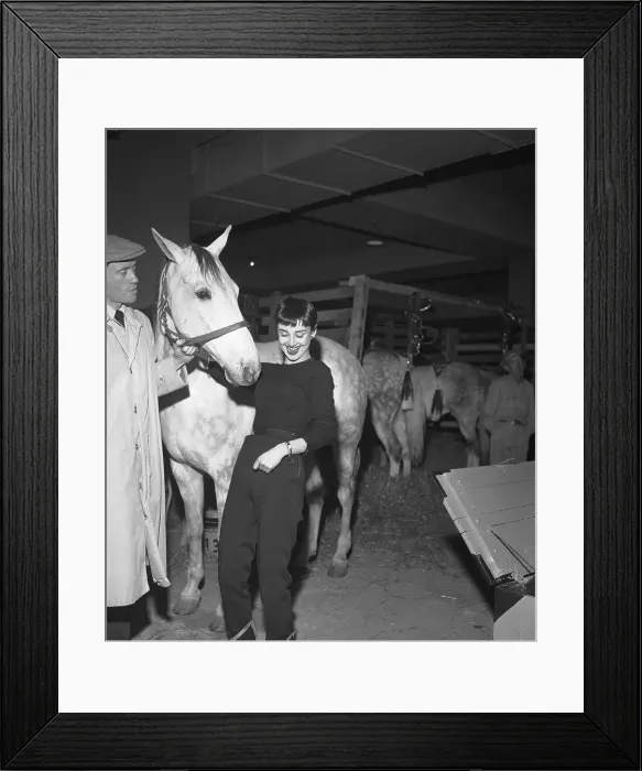 Framed Print : Audrey Hepburn with Horse Framed Print : Audrey Hepburn with Horse