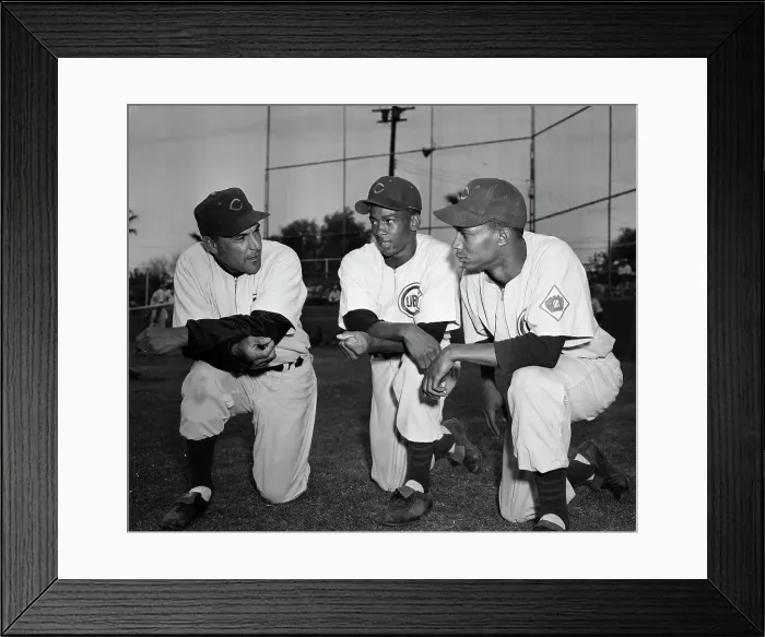 Framed Print : Cubs Manager Talking With Players Framed Print : Cubs Manager Talking With Players