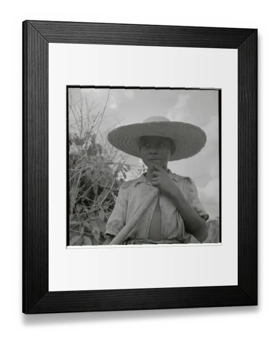 Framed Print : Young Brazilian Boy Working on Plantation Framed Print : Young Brazilian Boy Working on Plantation