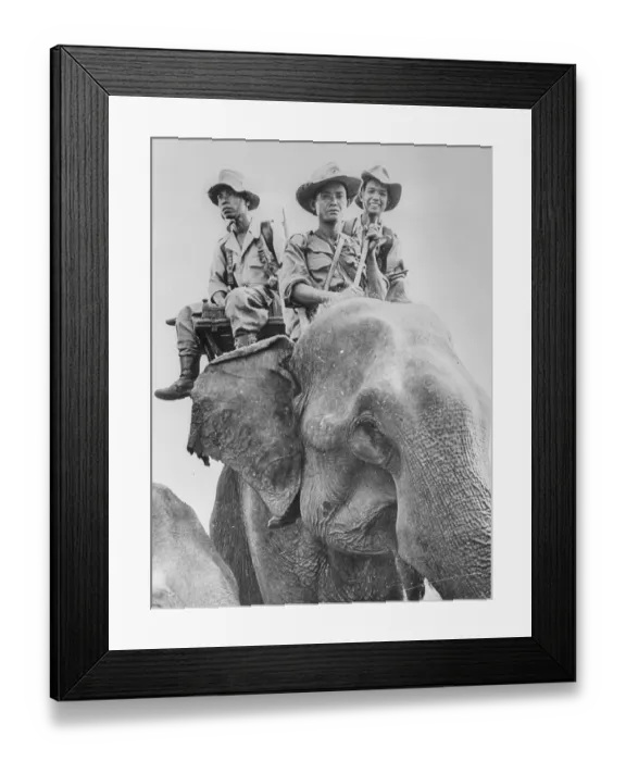Framed Print : Elephant Carrying Cambodian Soldiers Framed Print : Elephant Carrying Cambodian Soldiers