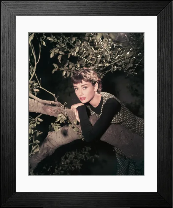 Framed Print : Actress Audrey Hepburn Leaning on Tree Framed Print : Actress Audrey Hepburn Leaning on Tree