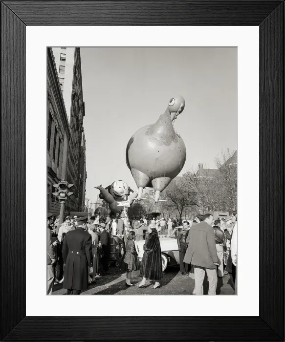 Framed Print : Balloon Being Led Down Street In Parade Framed Print : Balloon Being Led Down Street In Parade