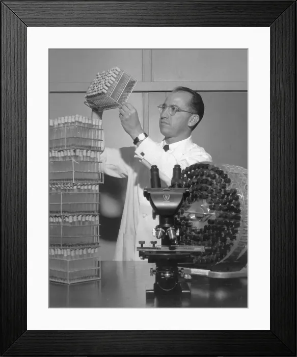 Framed Print : Jonas Salk Working in Laboratory Framed Print : Jonas Salk Working in Laboratory