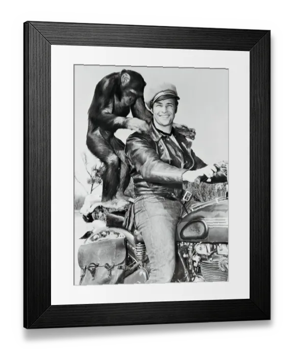 Framed Print : Portrait of Marlon Brando with Monkey Framed Print : Portrait of Marlon Brando with Monkey