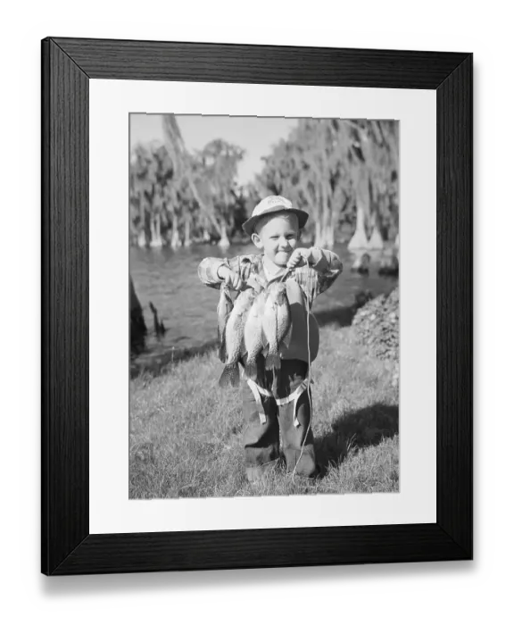 Framed Print : Young Boy Holding String of Bass He Caught Framed Print : Young Boy Holding String of Bass He Caught