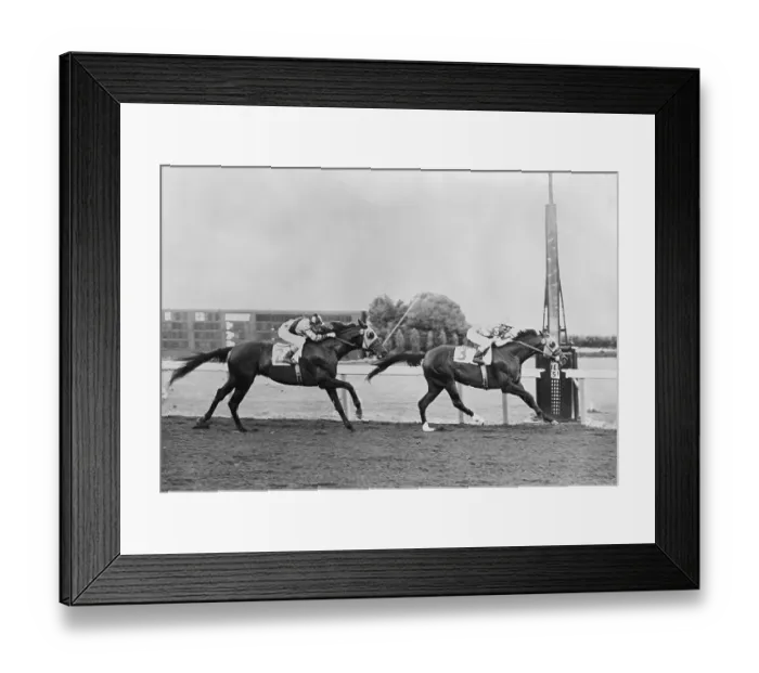 Framed Print : Willie Shoemaker Racing on Haltafire Framed Print : Willie Shoemaker Racing on Haltafire