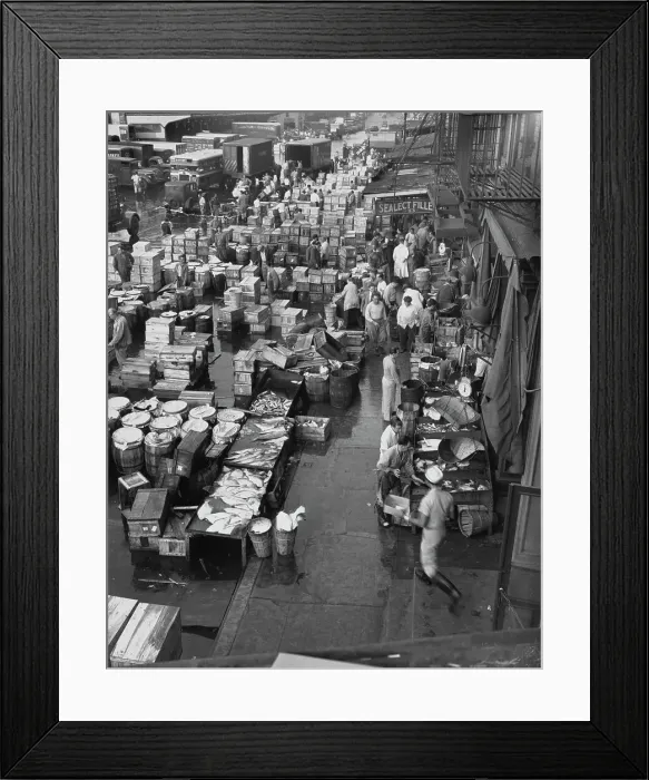 Framed Print : Shipping piers