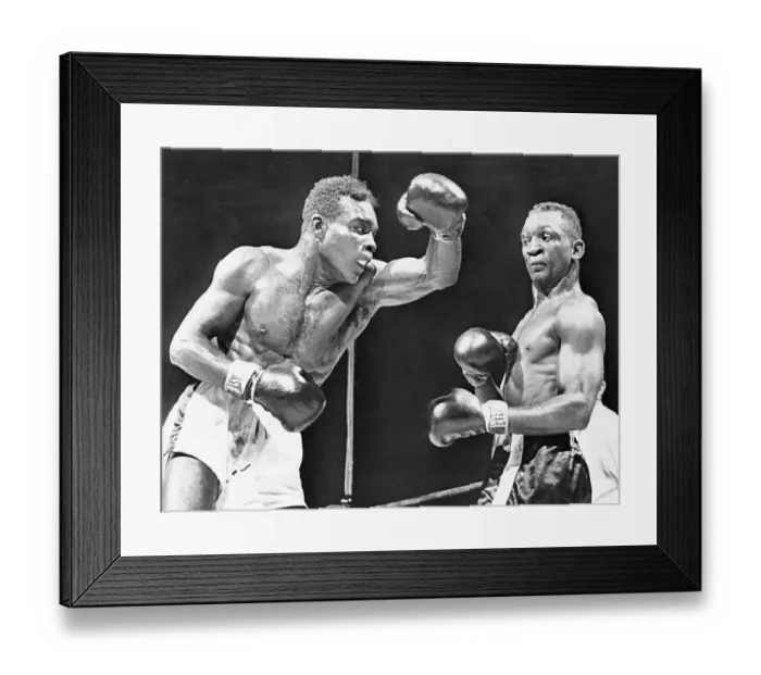 Framed Print : Too Close for Comfort Framed Print : Too Close for Comfort