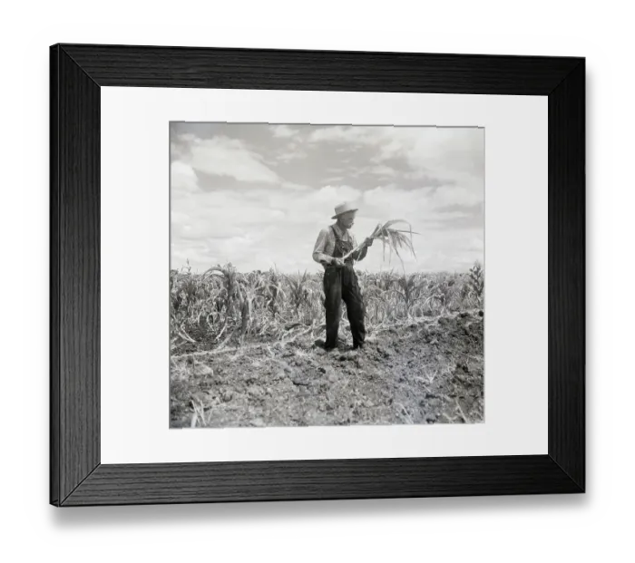 Framed Print : Texas Farmer With Burnt Field Framed Print : Texas Farmer With Burnt Field