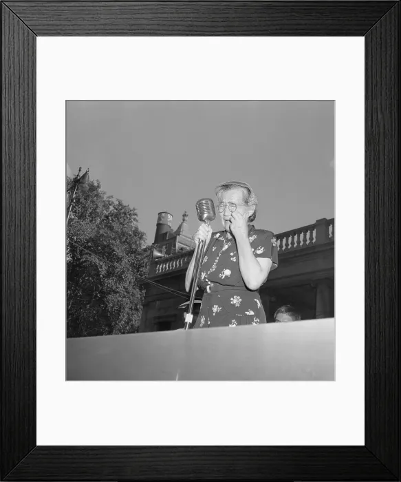 Framed Print : Sophie Rosenberg Making Tearful Plea Framed Print : Sophie Rosenberg Making Tearful Plea