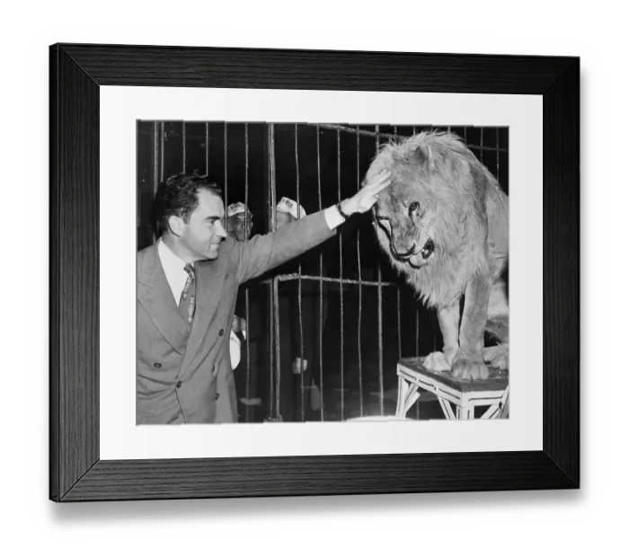Framed Print : Richard Nixon Petting Circus Lion Framed Print : Richard Nixon Petting Circus Lion
