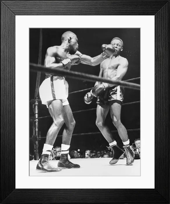 Framed Print : Carter Versus Araujo Framed Print : Carter Versus Araujo