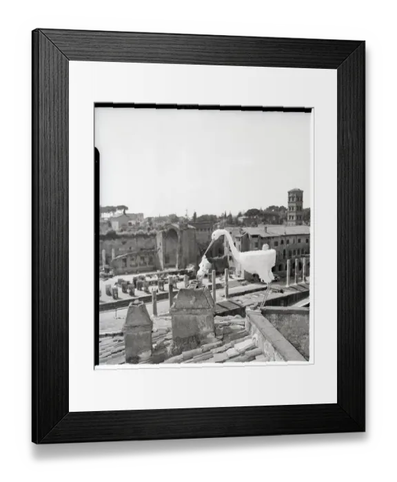 Framed Print : Stork Carrying Baby On Rooftop Framed Print : Stork Carrying Baby On Rooftop