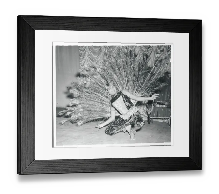 Framed Print : Singaporean Dancer in Peacock Feathers