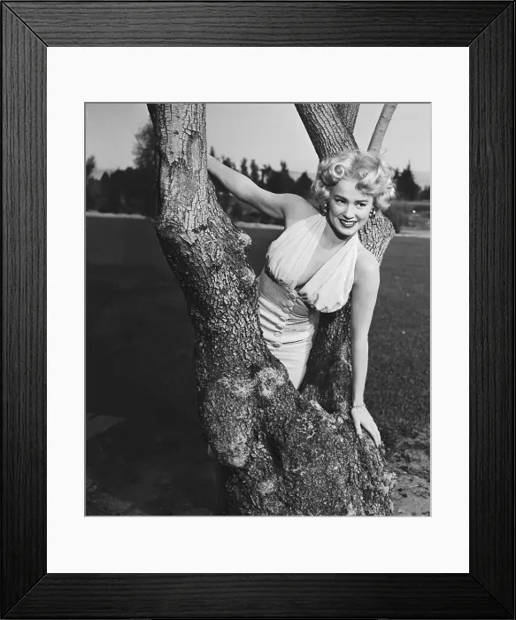 Framed Print : Actress Mamie Van Doren Posing Inside Tree Limbs Framed Print : Actress Mamie Van Doren Posing Inside Tree Limbs