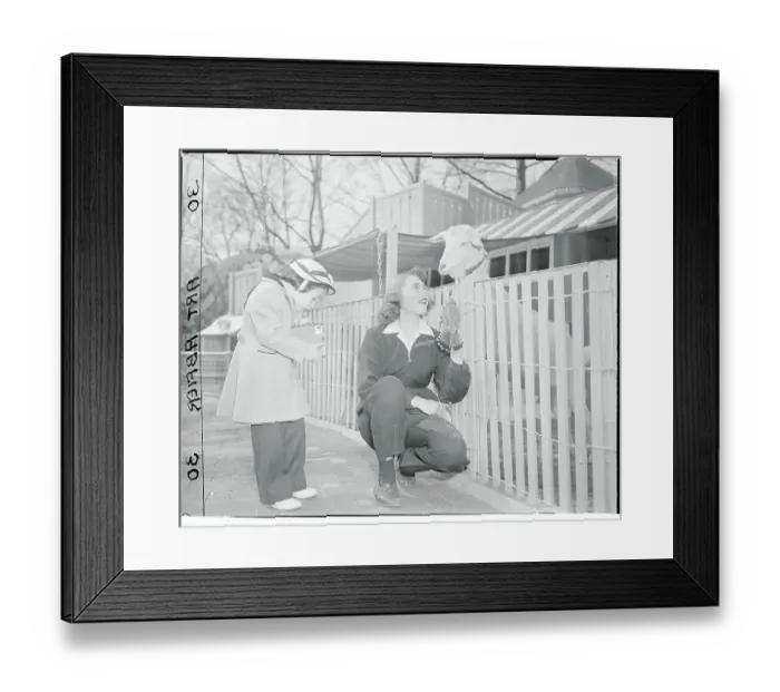 Framed Print : Children's Zoon, Bronx Park Framed Print : Children's Zoon, Bronx Park