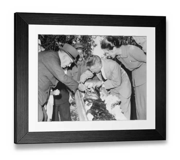 Framed Print : J.L.B. Smith Showing Preserved Prehistoric Fish to Daniel Malan Framed Print : J.L.B. Smith Showing Preserved Prehistoric Fish to Daniel Malan