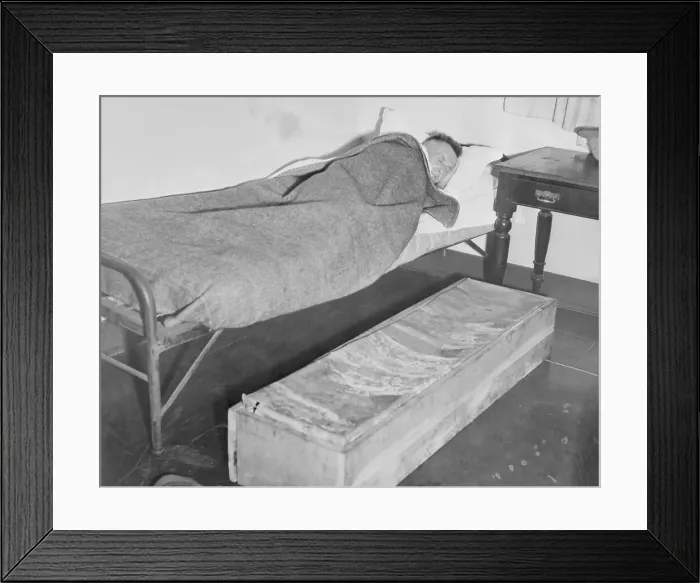 Framed Print : J.L.B. Smith Sleeping Framed Print : J.L.B. Smith Sleeping