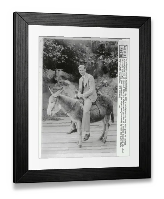 Framed Print : Man in Suit seated on a Mule