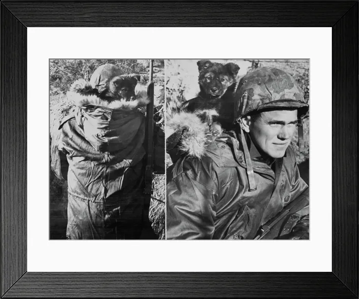 Framed Print : Sergeant Thomas Bowman & Sukoshi Framed Print : Sergeant Thomas Bowman & Sukoshi