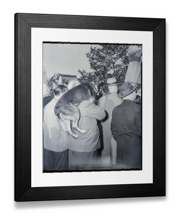 Framed Print : Dog On Man'S Shoulder At Eisenhower Rall