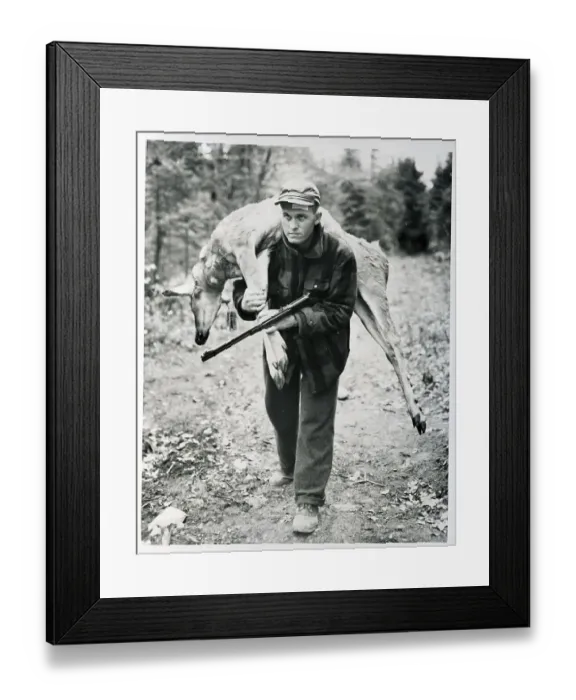 Framed Print : Baseball Player Carrying Deer Framed Print : Baseball Player Carrying Deer