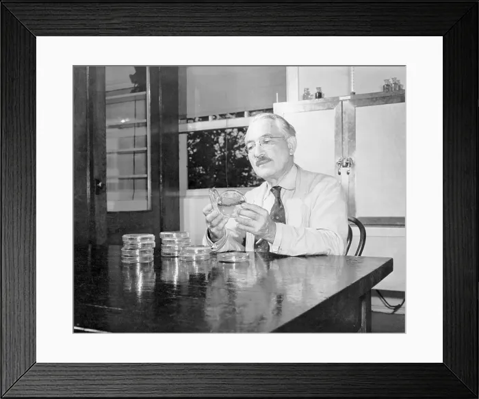 Framed Print : Dr. Selman Waksman in Rutgers University Lab