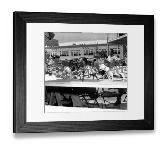 Framed Print : Campaigning Canines Framed Print : Campaigning Canines