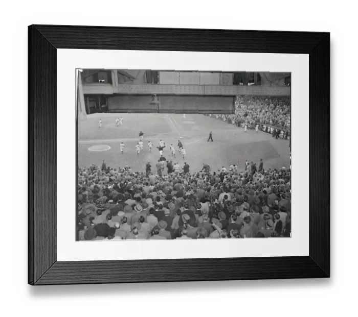 Framed Print : Celebration After Yankees Win