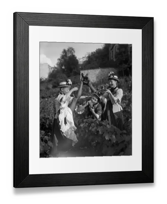 Framed Print : Certainly Can Can-Can Framed Print : Certainly Can Can-Can