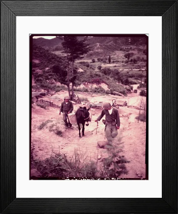 Framed Print : Soldiers Leading Mules Over Rural Area Framed Print : Soldiers Leading Mules Over Rural Area