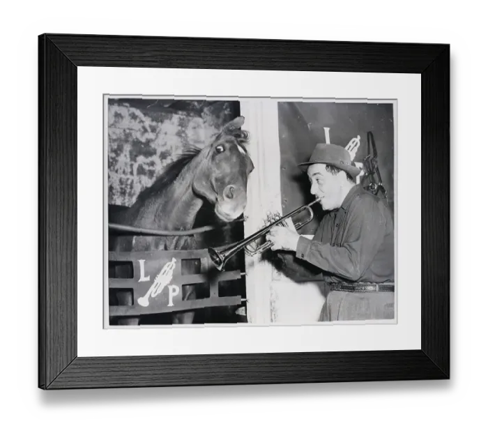 Framed Print : Horse Listening To Trumpeter Prima Framed Print : Horse Listening To Trumpeter Prima