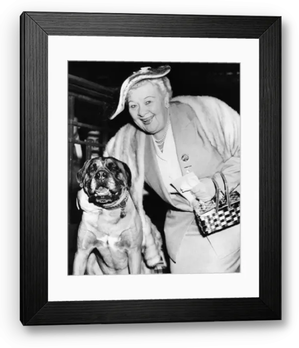 Framed Print : Sophie Tucker Pets Boxer Corporal Carl Framed Print : Sophie Tucker Pets Boxer Corporal Carl