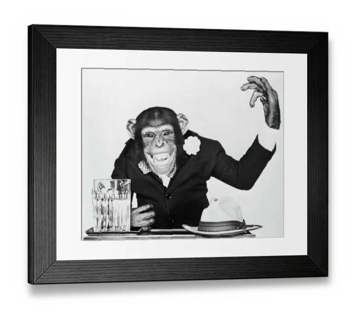 Framed Print : Bonzo the Chimp Campaigning Framed Print : Bonzo the Chimp Campaigning