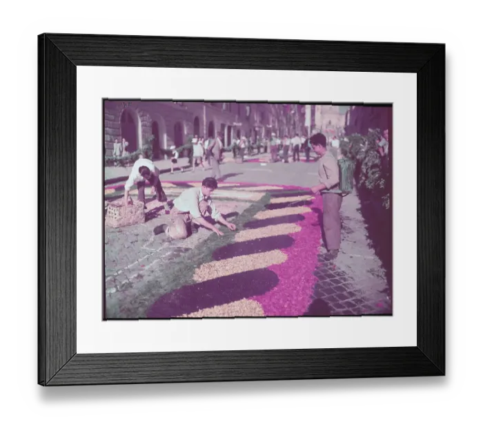 Framed Print : Villagers Placing Petals on Pavement Framed Print : Villagers Placing Petals on Pavement
