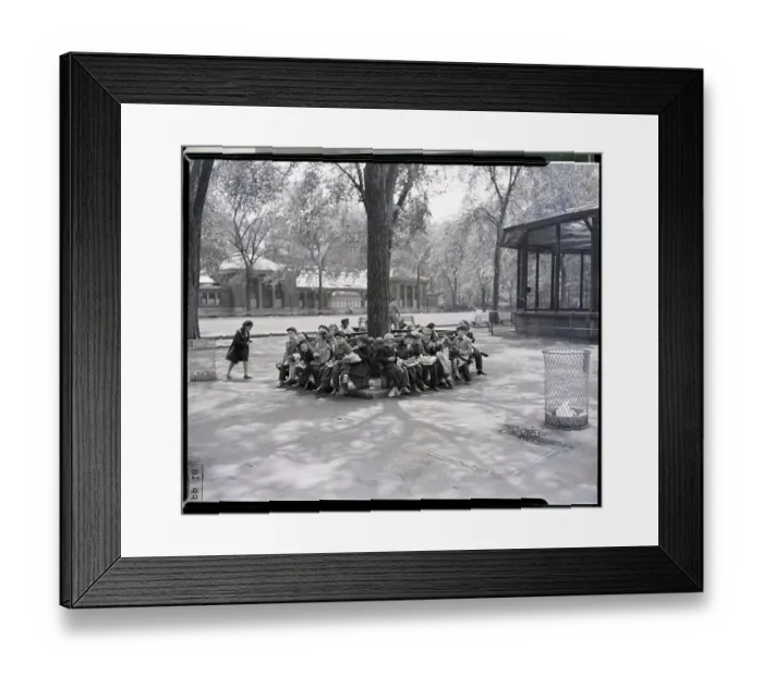 Framed Print : Children Eating Under Tree at Zoo Framed Print : Children Eating Under Tree at Zoo
