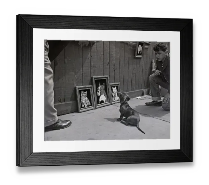 Framed Print : Dog Waxes Critical At Cat And Dog Painti Framed Print : Dog Waxes Critical At Cat And Dog Painti