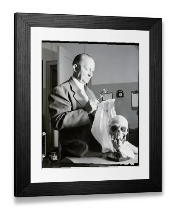 Framed Print : Detective Standing Next to Mounted Skull Framed Print : Detective Standing Next to Mounted Skull