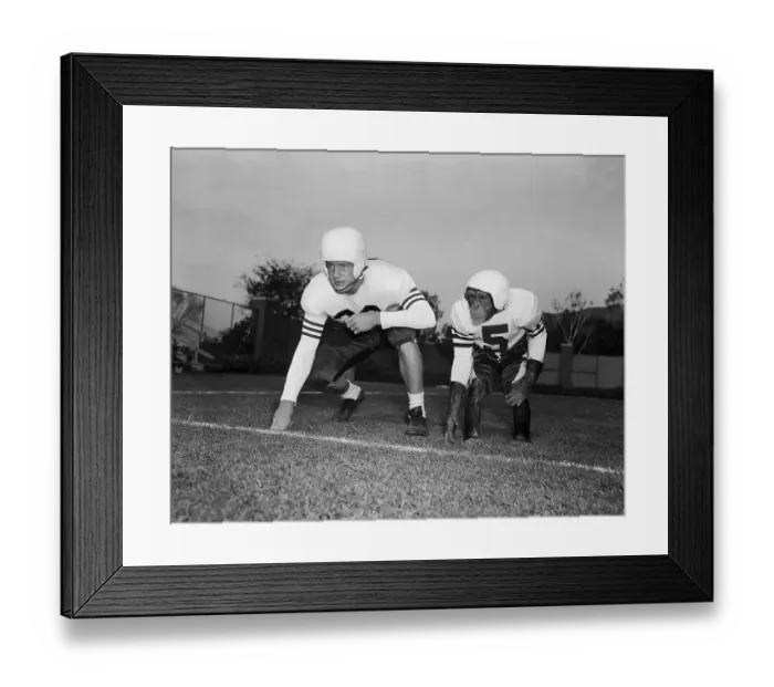 Framed Print : Gifford, Bonzo Set To Run On Football Fi Framed Print : Gifford, Bonzo Set To Run On Football Fi
