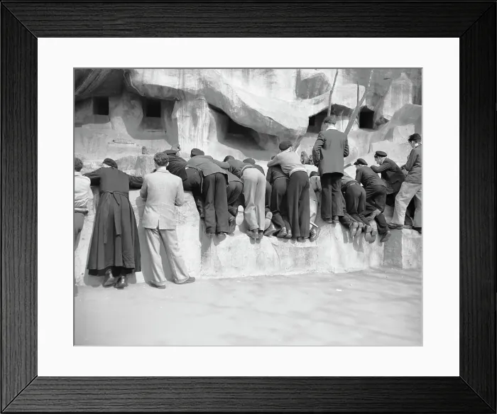 Framed Print : Visitors Looking at the Monkeys Framed Print : Visitors Looking at the Monkeys