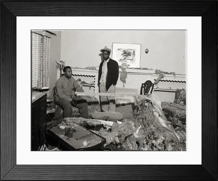 Framed Print : Bailey And Duncan In Wrecked Living Room Framed Print : Bailey And Duncan In Wrecked Living Room