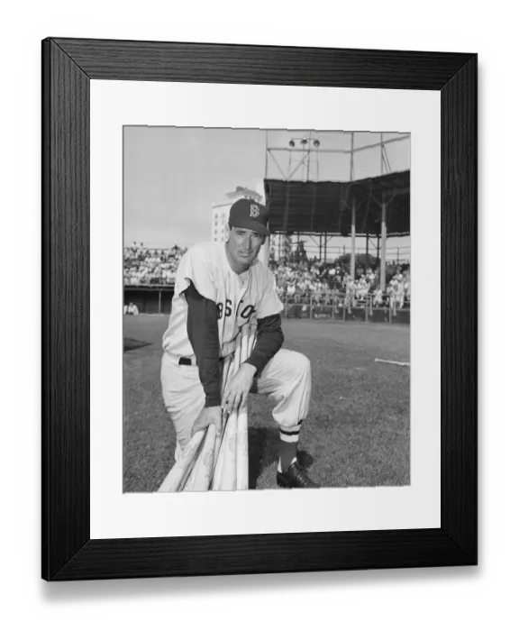 Framed Print : Ted Williams Poses Holding Many Bats Framed Print : Ted Williams Poses Holding Many Bats