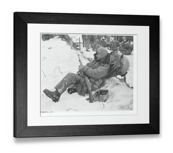 Framed Print : American Marine Resting in the Snow near Fence Framed Print : American Marine Resting in the Snow near Fence