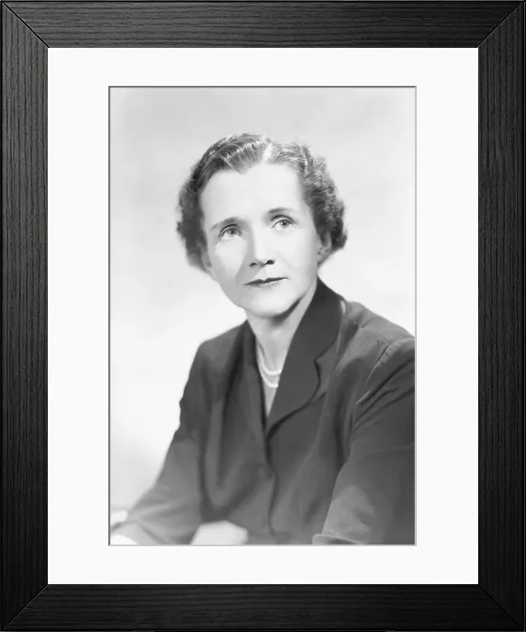 Framed Print : Author Rachel L. Carson In Seated Pose Framed Print : Author Rachel L. Carson In Seated Pose